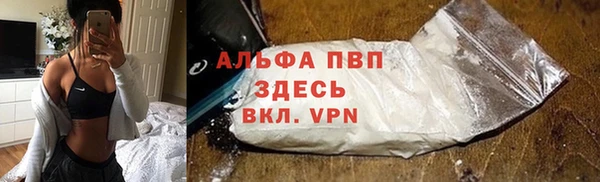 шишки Беломорск