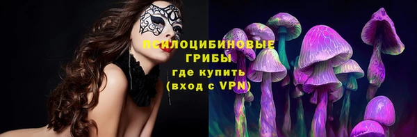шишки Беломорск