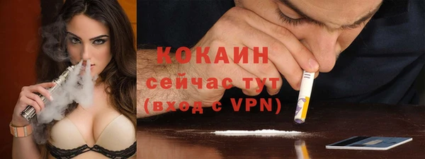 дживик Богданович