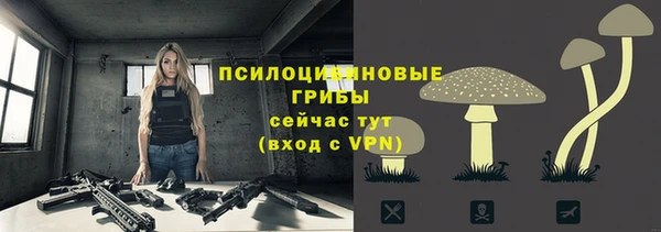 метамфетамин Белокуриха