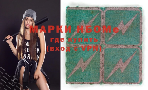 шишки Беломорск
