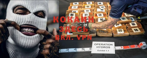 шишки Беломорск