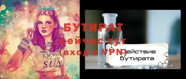 гашик Сосновка