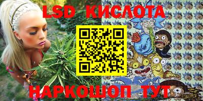 прущие грибы Гусев
