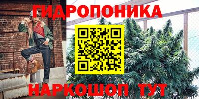 сатива Гусь-Хрустальный