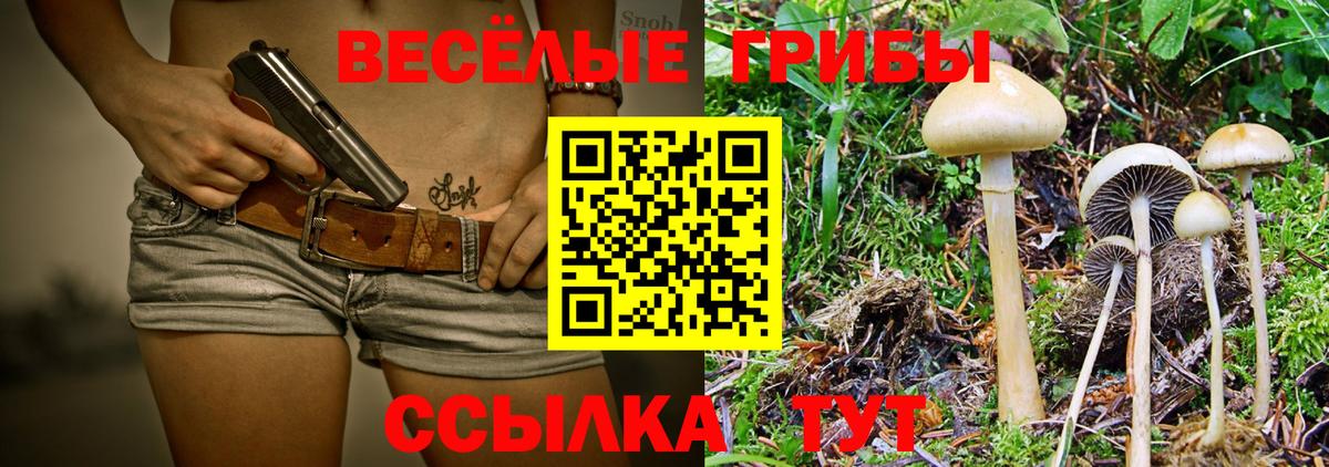 Псилоцибиновые грибы MAGIC MUSHROOMS  Псилоцибиновые грибы ЛСД  Вход с VPN  Острогожск 